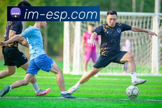 多媒体互动体验